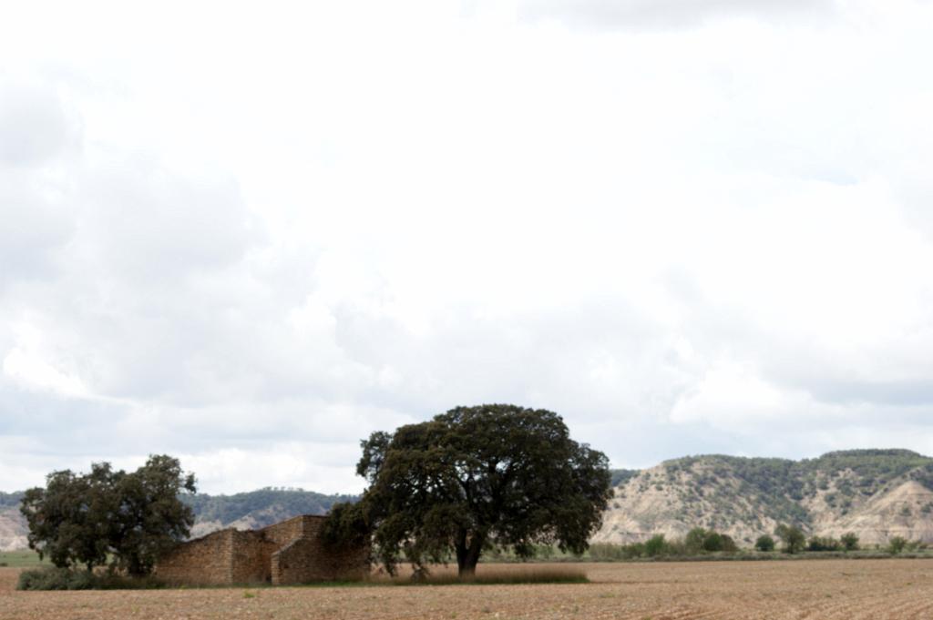 El Plañeron